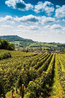 Arbois