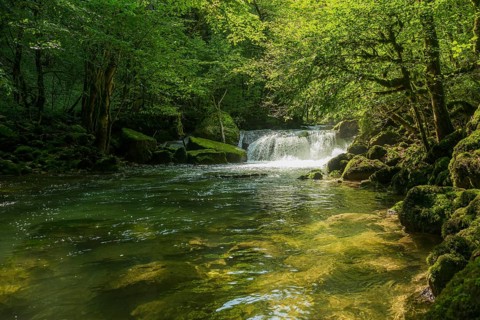 Waterfall and mossy rocks