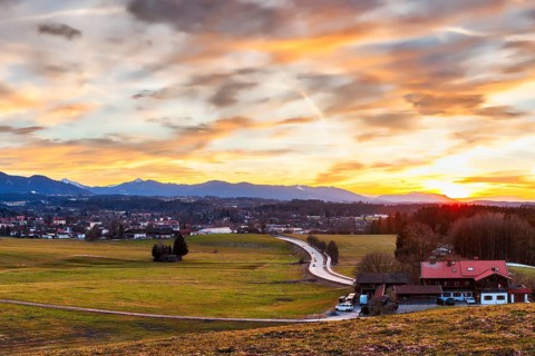Landscape
