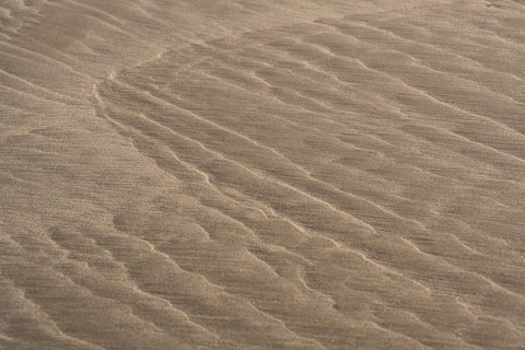 Sand with ripples