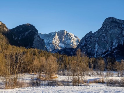 Winter landscape