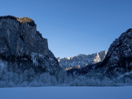 Winter landscape