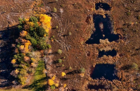 Drone image