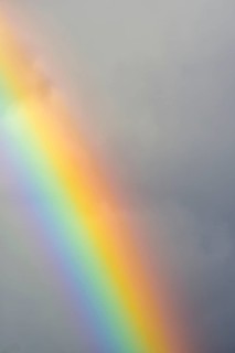 Rainbow Segment