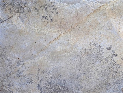 Structure of a slab of Solnhofen limestone with inclusions