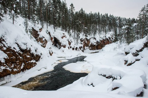 Snowy winter landscape with river course in Oulanka National Park