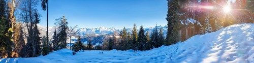 Winter landscape