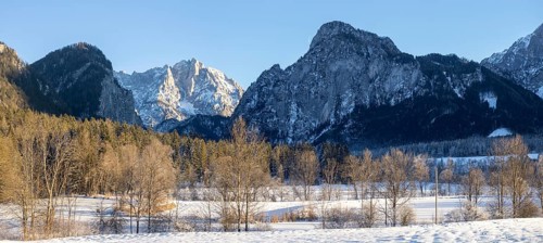 Winter landscape