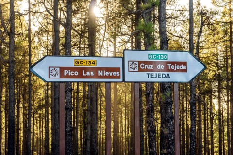Road crossing in the forest with signs indicating direction for famous places as the highest peak Pico Las Nieves and town of Tejeda