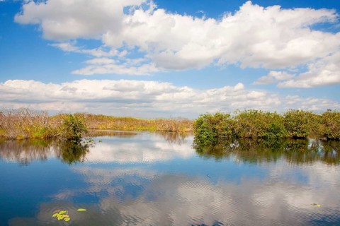 Anhinga Trail