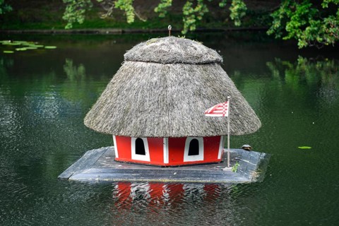 Bird House