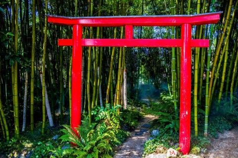 Japanese Gate