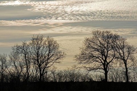 Clouds