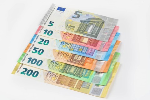 Euro notes