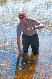 Ranger explains the swampland