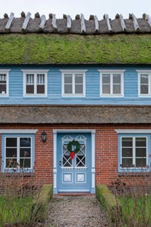 Thatched roof house