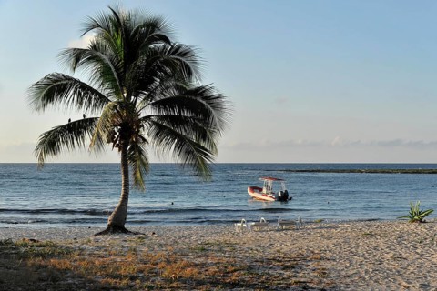 Morning on the beach