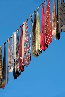 Ties hung on a leash from an action for peace by Soroptimist International