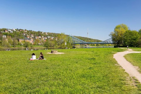 Meadows on the Elbe in Blasewitz