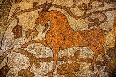 Floor mosaic in the Cathedral dell' Annunziata