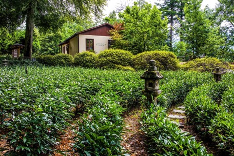 Tea house