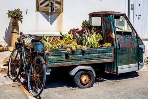 Flower cart