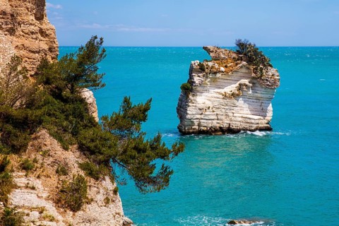 Fantastic limestone cliffs