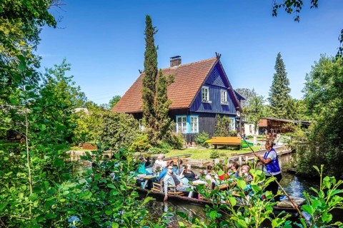 Residential house