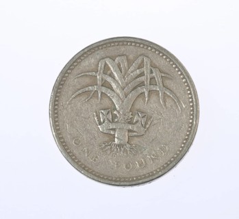 Coin