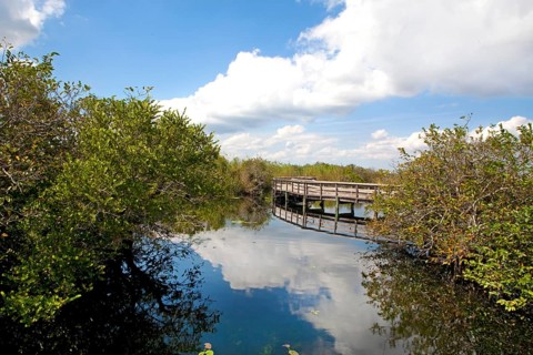Anhinga Trail