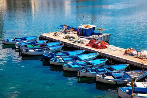 Fishing boats