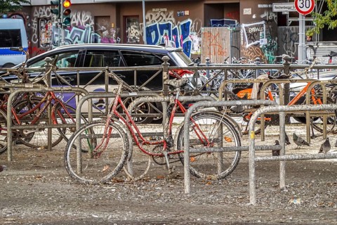 Pigeon droppings on bicycle