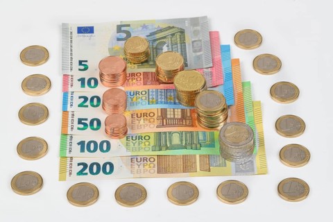 Euro notes