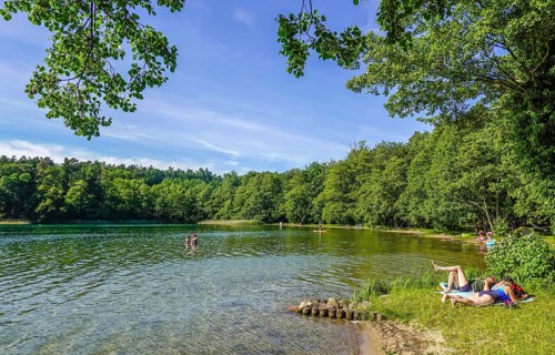 Bathing area