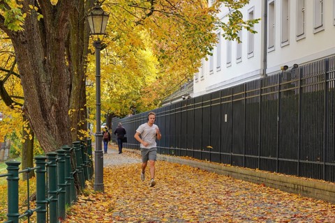 Joggers on Bellevue bank