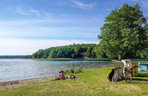 Bathing area