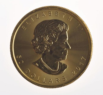 Gold Coin