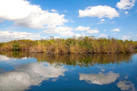 Anhinga Trail