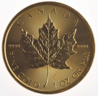 Gold Coin