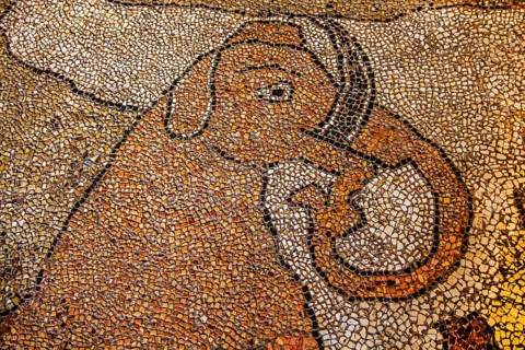 Floor mosaic in the Cathedral dell' Annunziata