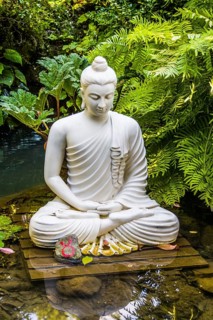 Buddha Seduto