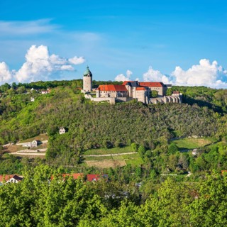 View of Neuenburg Castle and vineyards