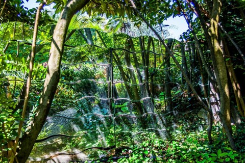 Andre Heller Botanical Garden with artworks by international artists
