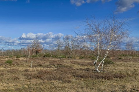 Heinz Sielmanns Naturlandschaft