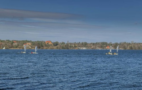 Optimist sailors