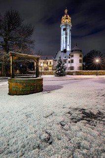 The district of Hoechst with its castle