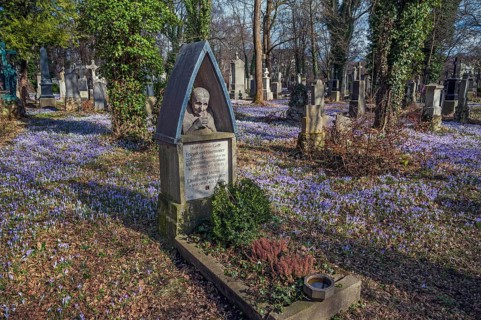 South cemetery with a caretaker's grave and crocuses