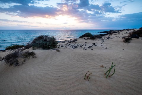 Sunrise