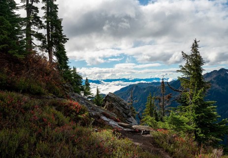 Hiking trail at Huntoon Point