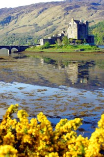 Castle reflected in the water
